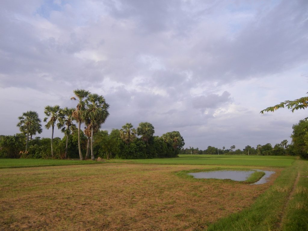 Paysage du Cambodge - Luis