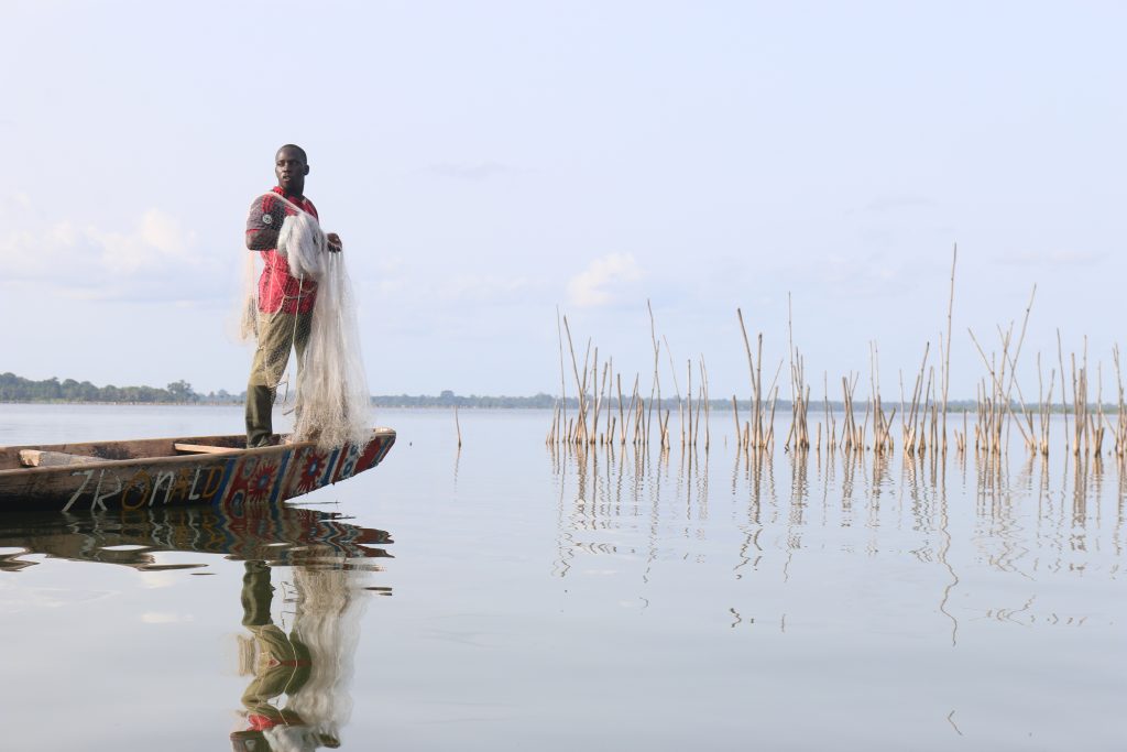 Pêcheur en pirogue dans les mangroves