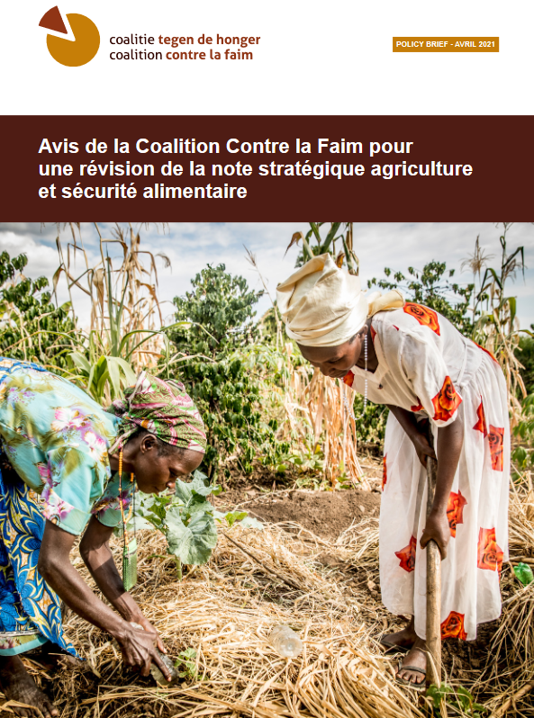 CCLF-PolicyBrief-Avril2021-cover