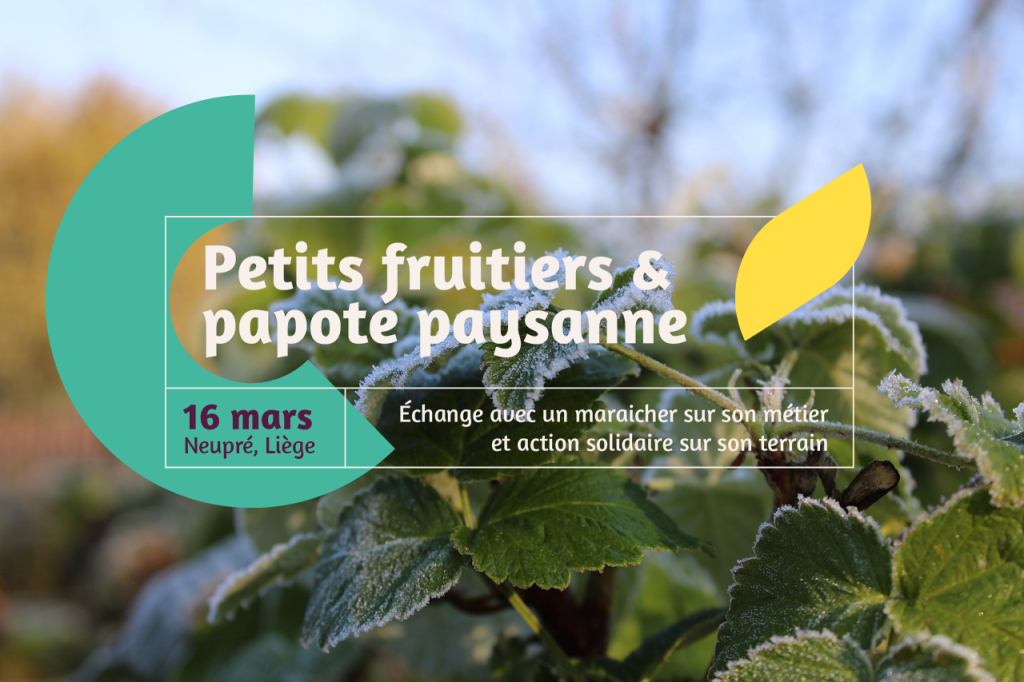 Bannière papote fruitiers