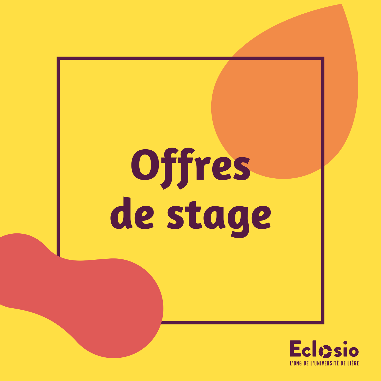 Actualité offres de stage 2024-2025
