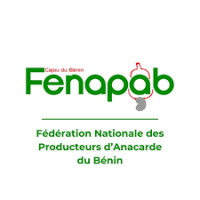 Eclosio_Fédération Nationale des Producteurs d'Anacarde du Bénin (FENAPAB) 
